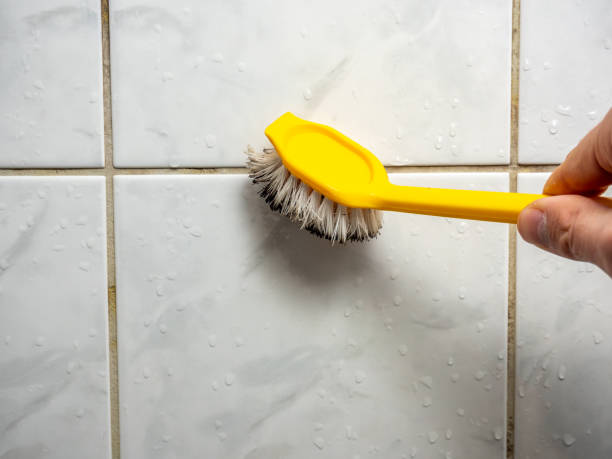 Mold Removal and Inspection in Fishers, IN