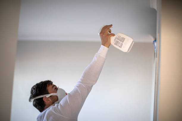 Best Best Mold Removal Companies  in Fishers, IN